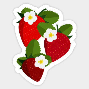 Strawberries and blossoms Sticker